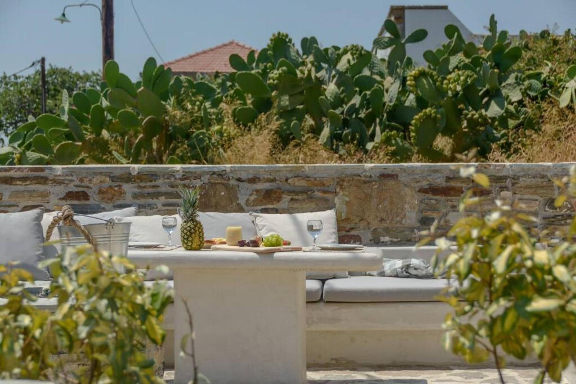 Villa Anthemion Naxos With Outdoor Jacuzzi Ano Sangrion Extérieur photo